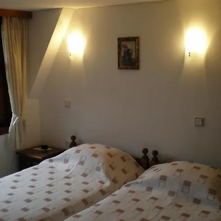 Guest house Nenchova 2*
